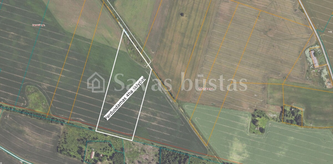 Parduodamas  sklypas Pakalniškių k., Pakruojo r. sav., 606 a ploto 2