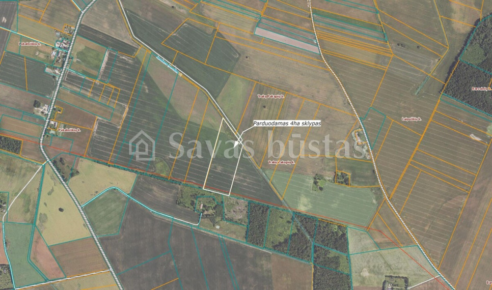 Parduodamas  sklypas Pakalniškių k., Pakruojo r. sav., 606 a ploto 4