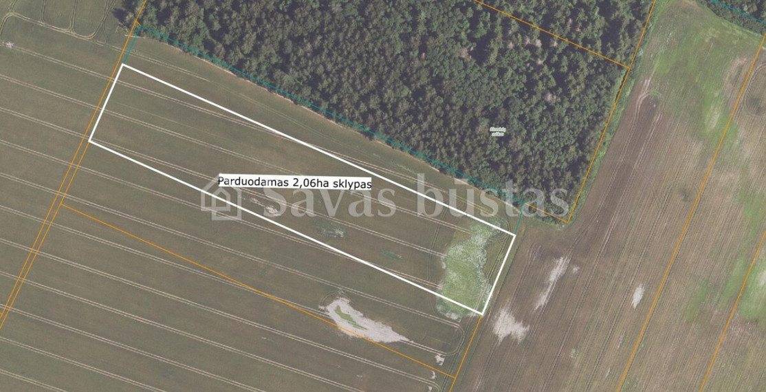 Parduodamas  sklypas Pakalniškių k., Pakruojo r. sav., 606 a ploto 6