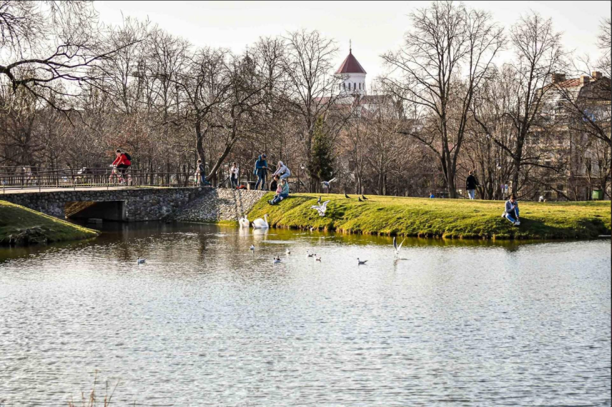 Parduodamas butas Aukštaičių g., Paupys, Vilniaus m., Vilniaus m. sav., 50 m² ploto 2 kambariai 28