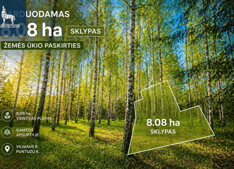 Parduodamas sklypas Puntuzų k., Vilniaus r. sav., 808 a ploto Parduodamas sklypas Puntuzų k., Vilniaus r. sav., 808 a ploto