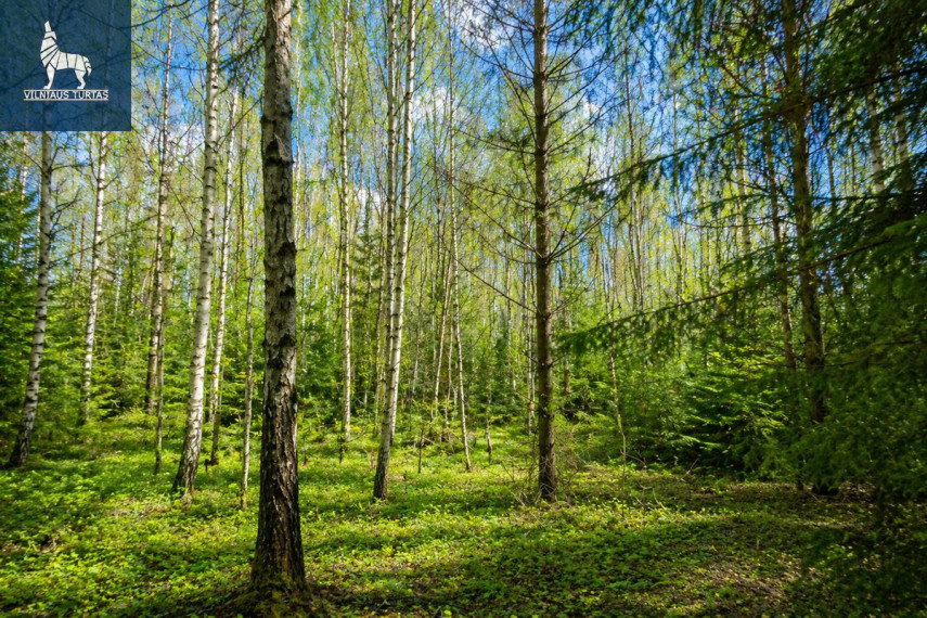 Parduodamas  sklypas Puntuzų k., Vilniaus r. sav., 808 a ploto 2