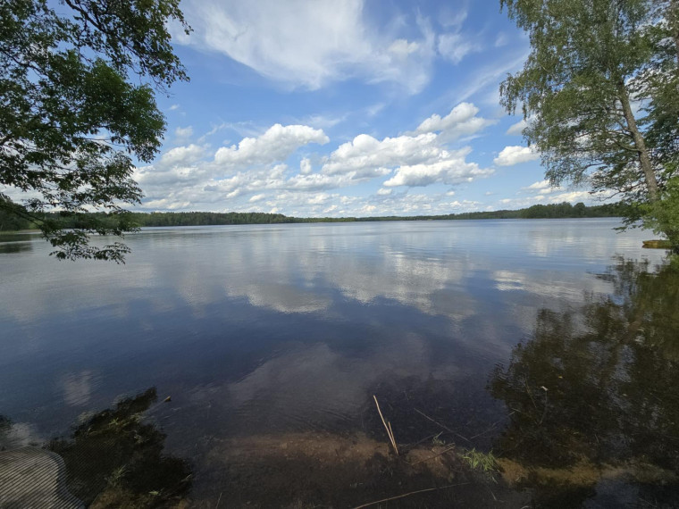 Parduodamas namas Kranto g., Naujasodžio k., Zarasų r. sav., 103.49 m² ploto 4 kambariai 9