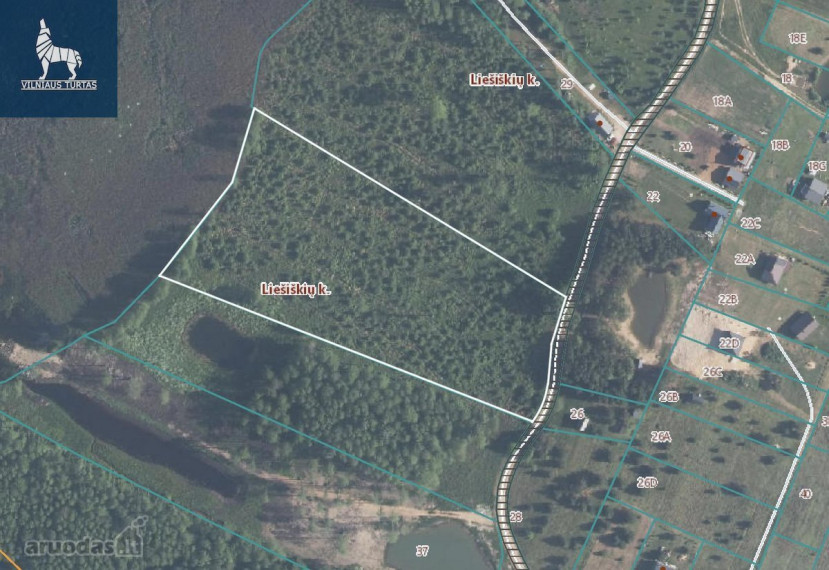 Parduodamas  sklypas Liešiškių k., Molėtų r. sav., 163.2 a ploto 15