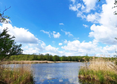 Parduodamas namas Ežero g., Ditkūnų k., Zarasų r. sav., 110.30 m² ploto 4 kambariai Parduodamas namas Ežero g., Ditkūnų k., Zarasų r. sav., 110.30 m² ploto 4 kambariai