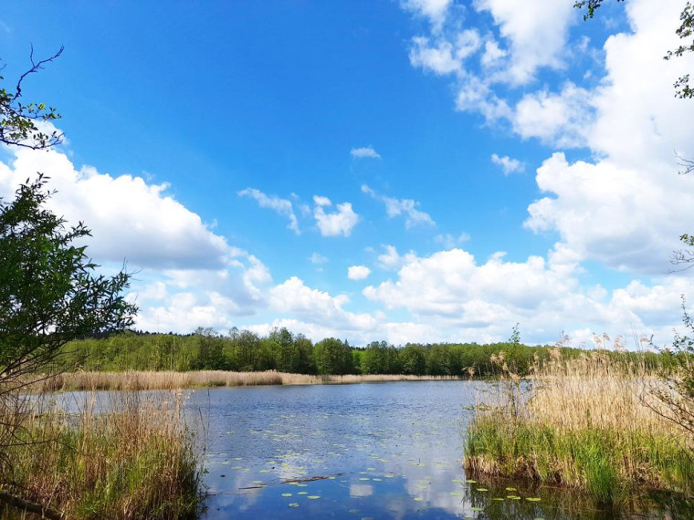 Parduodamas namas Ežero g., Ditkūnų k., Zarasų r. sav., 110.30 m² ploto 4 kambariai 1
