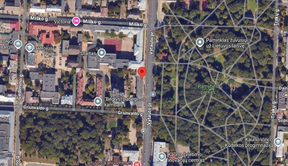 Parduodamos kitos paskirties patalpos Kauno m. sav., Kauno m., Centras, Vytauto pr. , 82.28 m2 ploto 25