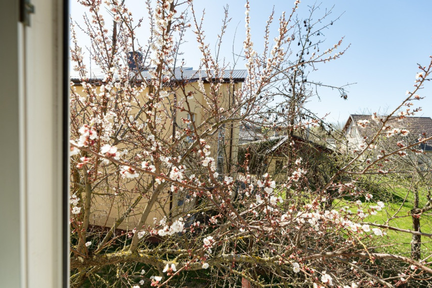 Parduodamas namas Vištyčio g., Kauno m., Kauno m. sav., 138 m2 ploto, 1 aukštai 15