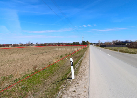 Parduodamas žemės ūkio paskirties sklypas Mažosios Lietuvos g., Rimkų k., Klaipėdos r. sav., 216 a ploto Parduodamas žemės ūkio paskirties sklypas Mažosios Lietuvos g., Rimkų k., Klaipėdos r. sav., 216 a ploto