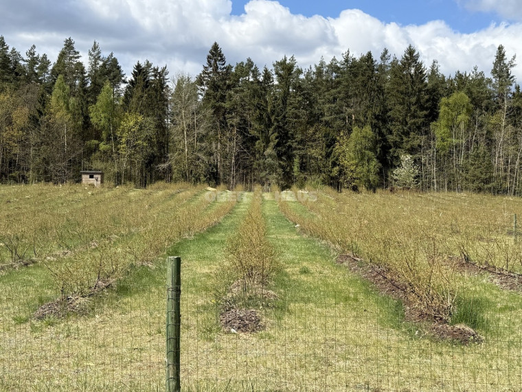 Parduodamas namas Kryžbarko k., Kelmės r. sav., 377.07 m2 ploto, 2 aukštai 20