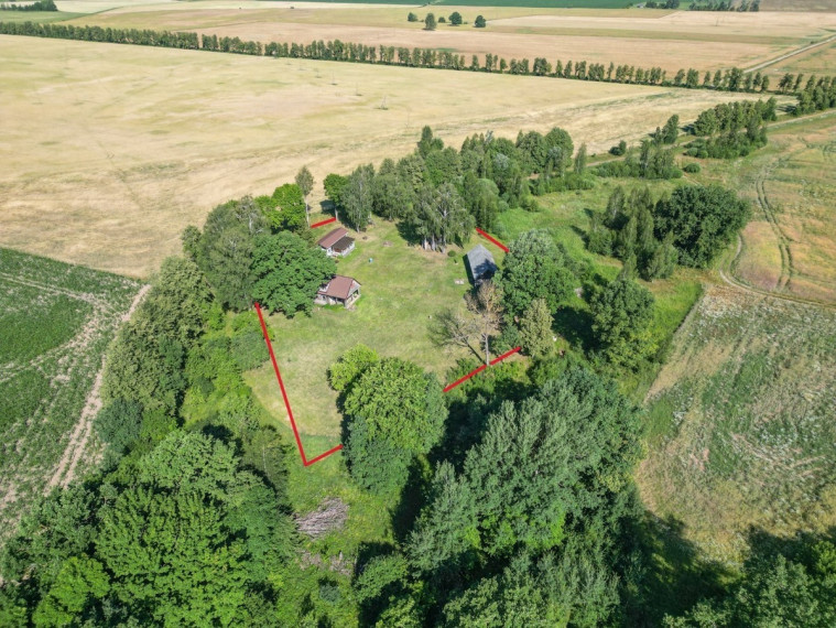 Parduodamas kitos paskirties sklypas Raseinių r. sav., Padargupių k., Liepų g., 60.84 a ploto 7