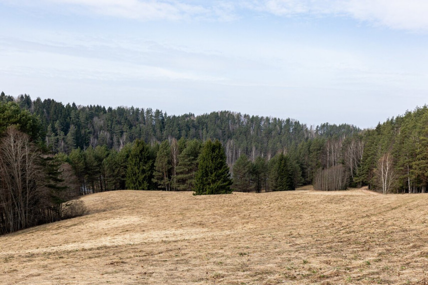 Parduodamas  sklypas Bėčionių k., Ignalinos r. sav., 1620 a ploto 25