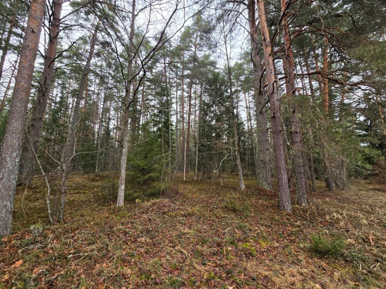 Parduodamas namas Ripelialaukio k., Ignalinos r. sav., 86.79 m² ploto 4 kambariai 20