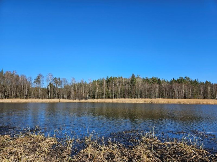 Parduodamas sklypas Naujojo Daugėliškio k., Ignalinos r. sav., 3.45 a ploto 3