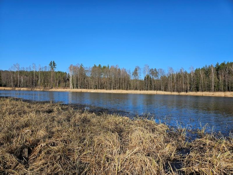 Parduodamas sklypas Naujojo Daugėliškio k., Ignalinos r. sav., 3.45 a ploto 4