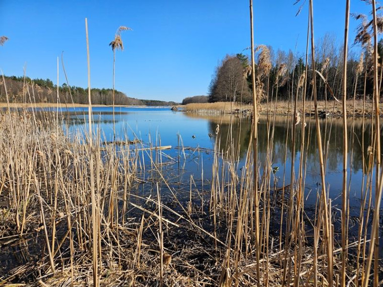 Parduodamas sklypas Naujojo Daugėliškio k., Ignalinos r. sav., 3.45 a ploto 5