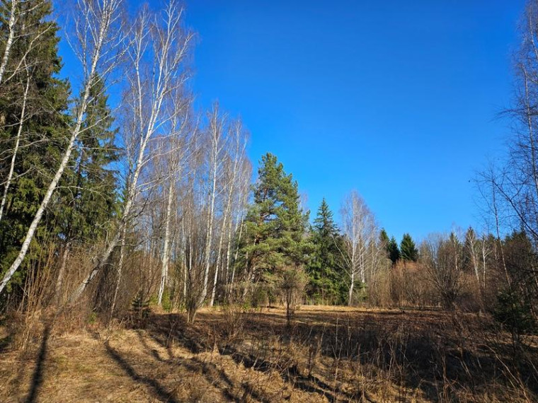Parduodamas sklypas Naujojo Daugėliškio k., Ignalinos r. sav., 3.45 a ploto 6