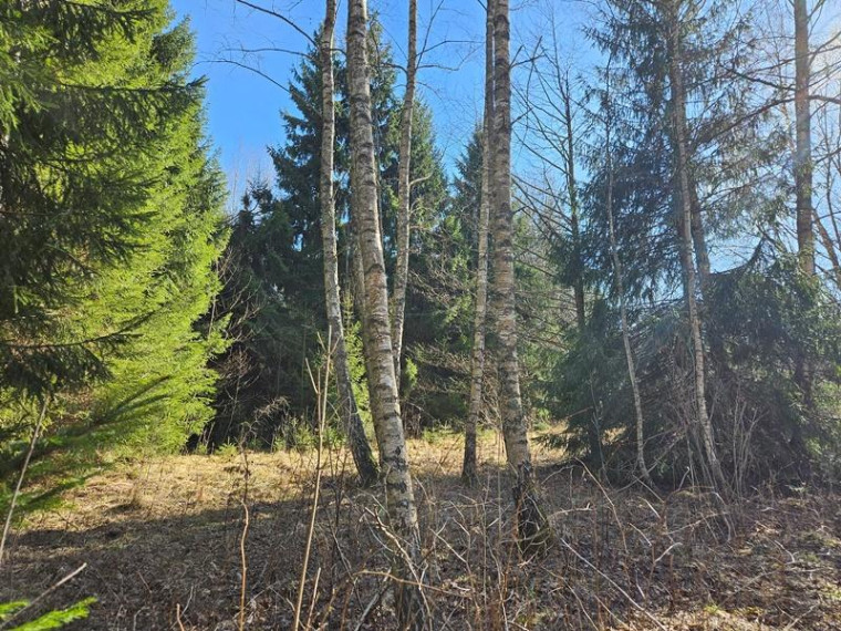 Parduodamas sklypas Naujojo Daugėliškio k., Ignalinos r. sav., 3.45 a ploto 7