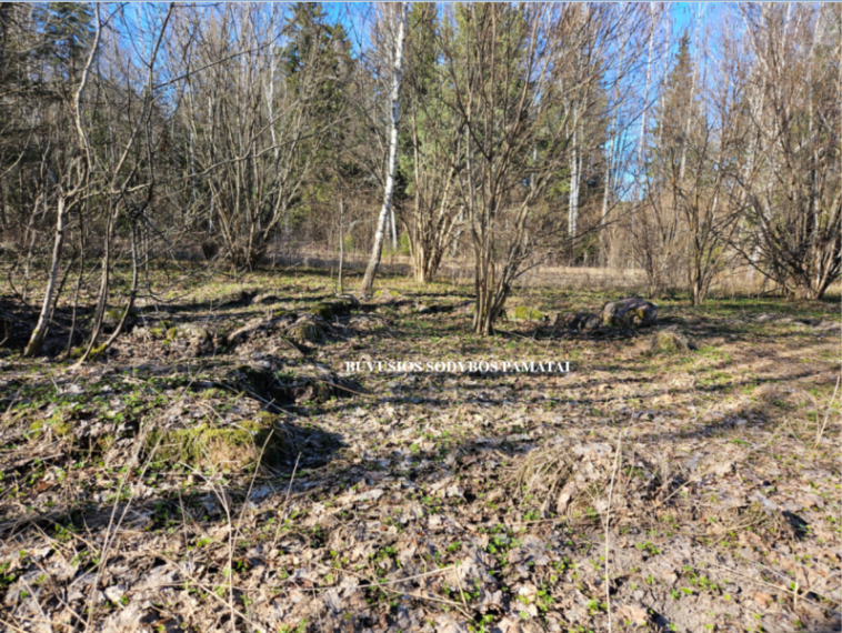 Parduodamas sklypas Naujojo Daugėliškio k., Ignalinos r. sav., 3.45 a ploto 10