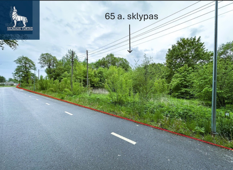 Parduodamas kitos paskirties sklypas Šilelio g., Naujųjų Elmininkų k., Anykščių r. sav., 65 a ploto 2