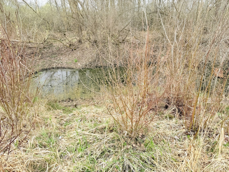 Parduodamas kitos paskirties sklypas Karšūnalaukio k., Širvintų r. sav., 140 a ploto 2