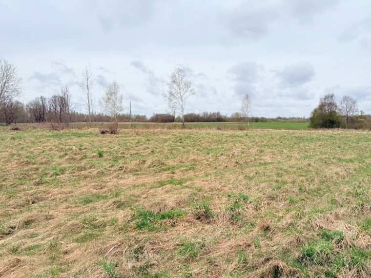 Parduodamas kitos paskirties sklypas Karšūnalaukio k., Širvintų r. sav., 140 a ploto 5