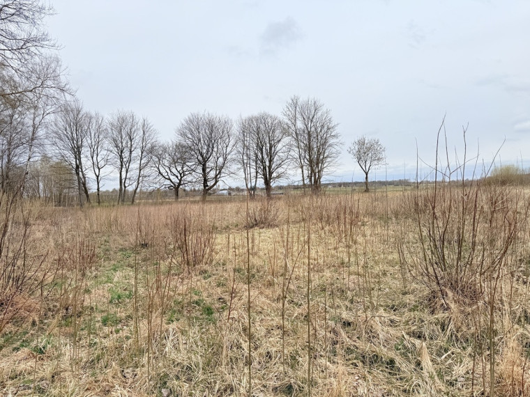 Parduodamas kitos paskirties sklypas Karšūnalaukio k., Širvintų r. sav., 140 a ploto 7