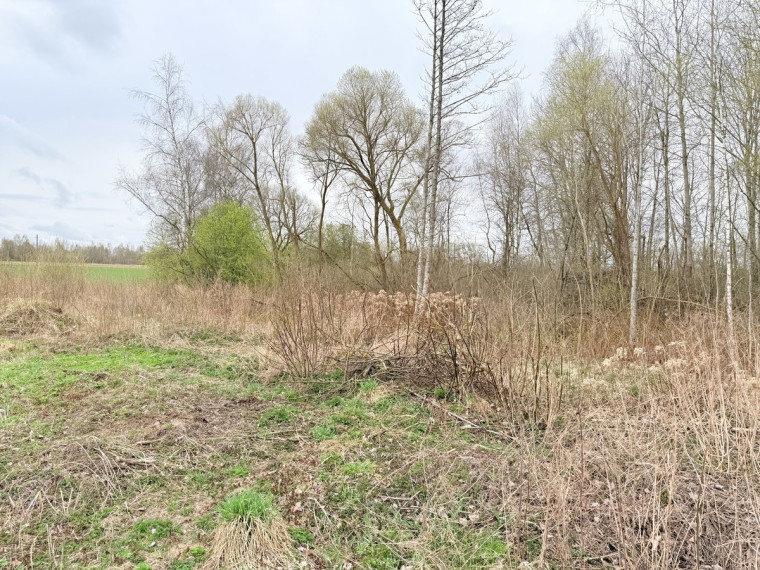 Parduodamas kitos paskirties sklypas Karšūnalaukio k., Širvintų r. sav., 140 a ploto 8