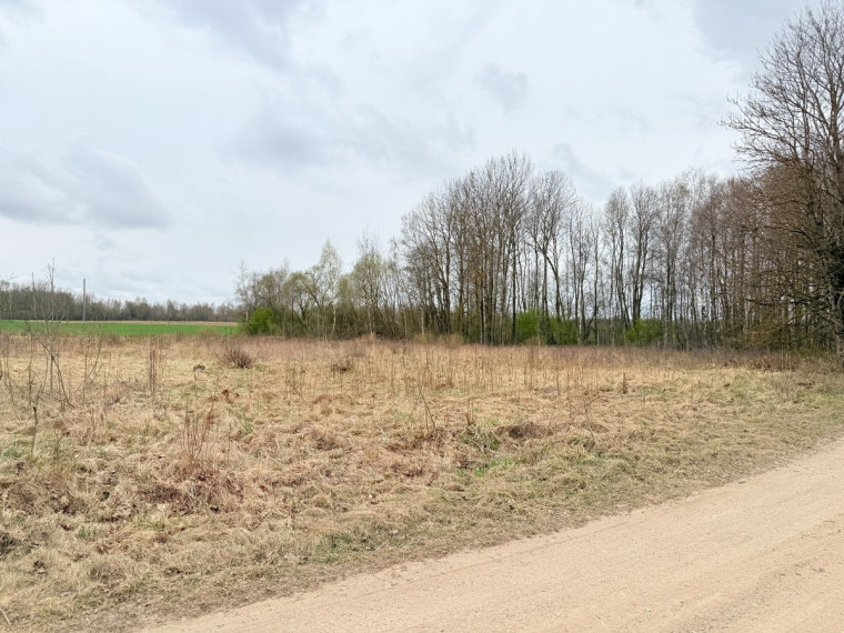 Parduodamas kitos paskirties sklypas Karšūnalaukio k., Širvintų r. sav., 140 a ploto 11