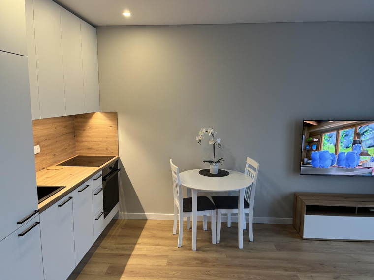 Nuomojamas butas Pulko g., Žirmūnai, Vilniaus m., Vilniaus m. sav., 30.00 m² ploto 1 kambarys 2