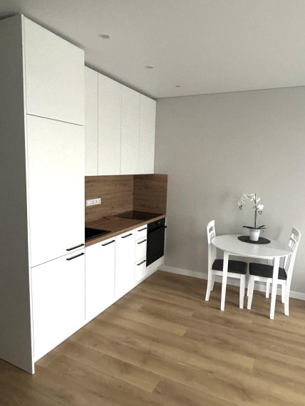 Nuomojamas butas Pulko g., Žirmūnai, Vilniaus m., Vilniaus m. sav., 30.00 m² ploto 1 kambarys 11