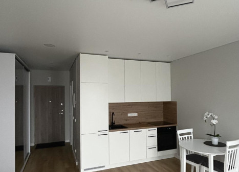 Nuomojamas butas Pulko g., Žirmūnai, Vilniaus m., Vilniaus m. sav., 30.00 m² ploto 1 kambarys Nuomojamas butas Pulko g., Žirmūnai, Vilniaus m., Vilniaus m. sav., 30.00 m² ploto 1 kambarys