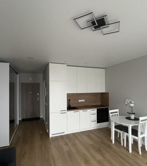Nuomojamas butas Pulko g., Žirmūnai, Vilniaus m., Vilniaus m. sav., 30.00 m² ploto 1 kambarys 1