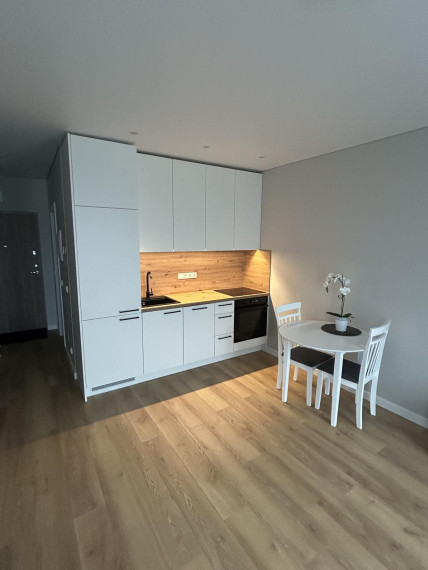 Nuomojamas butas Pulko g., Žirmūnai, Vilniaus m., Vilniaus m. sav., 30.00 m² ploto 1 kambarys 3