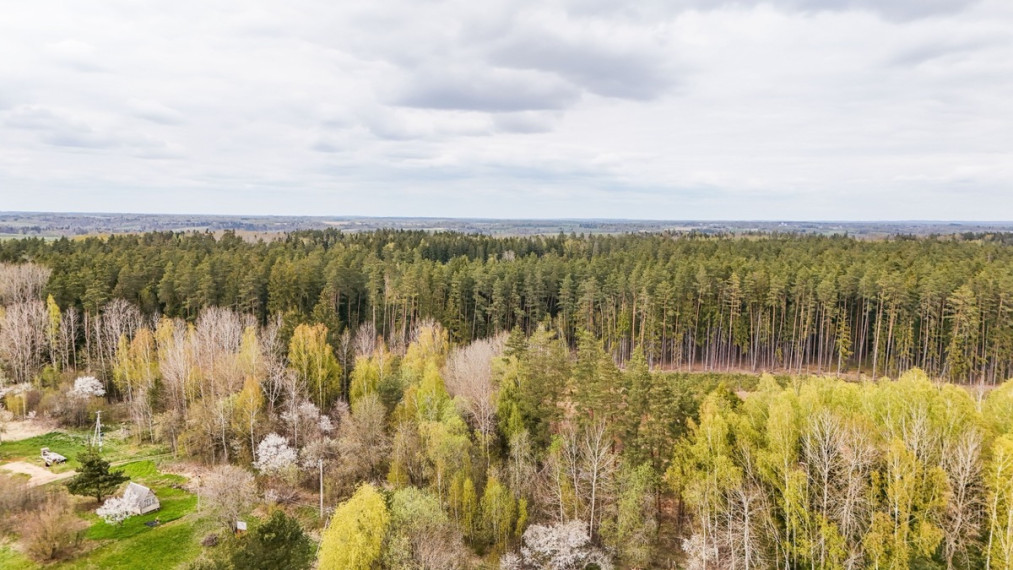 Parduodamas namas Varnėnų g., Šilėnų k., Birštono sav., 36 m2 ploto, 1 aukštai 8