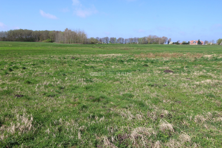 Parduodamas žemės ūkio paskirties sklypas Švyturio g., Šturmų k., Šilutės r. sav., 470.74 a ploto 12