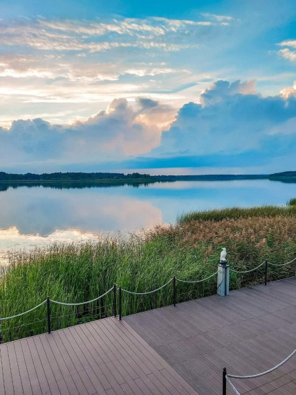 Parduodamas namas Vilniaus g., Dusetų m., Zarasų r. sav., 87.60 m² ploto 4 kambariai 24