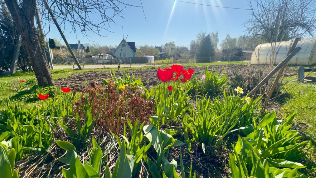 Parduodamas namas Vyturių g., Muiželėnų k., Alytaus r. sav., 20.86 m2 ploto, 1 aukštai 5