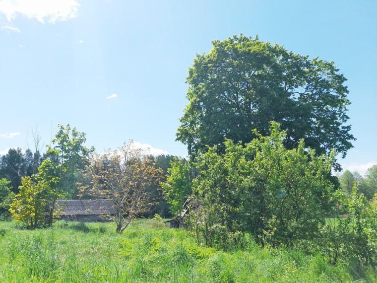 Parduodamas namas Magūnų k., Visagino sav., 98.92 m² ploto 3 kambariai 11