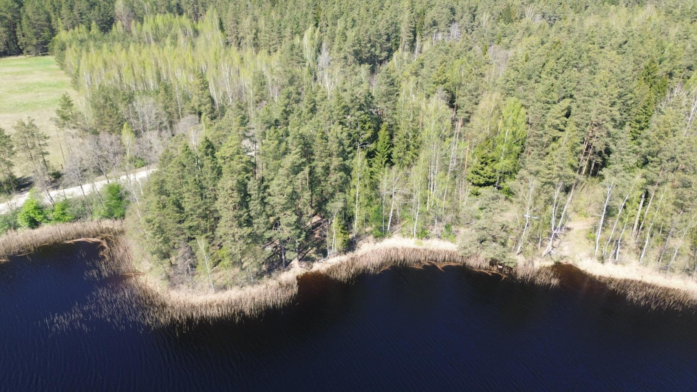 Parduodamas sklypas Paalksnės k., Molėtų r. sav., 350 a ploto 11