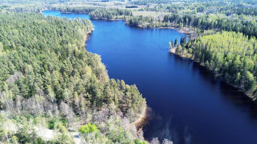 Parduodamas sklypas Paalksnės k., Molėtų r. sav., 350 a ploto 12