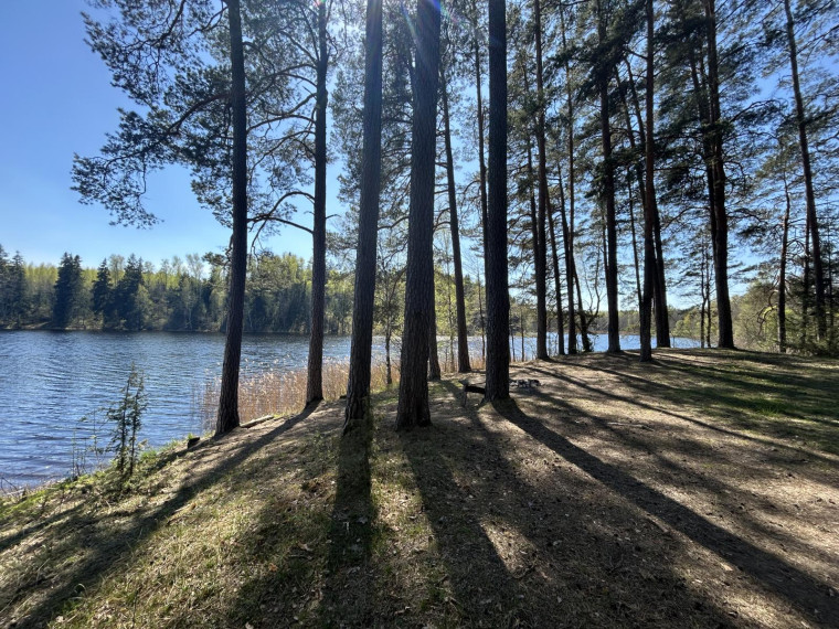Parduodamas sklypas Paalksnės k., Molėtų r. sav., 350 a ploto 17