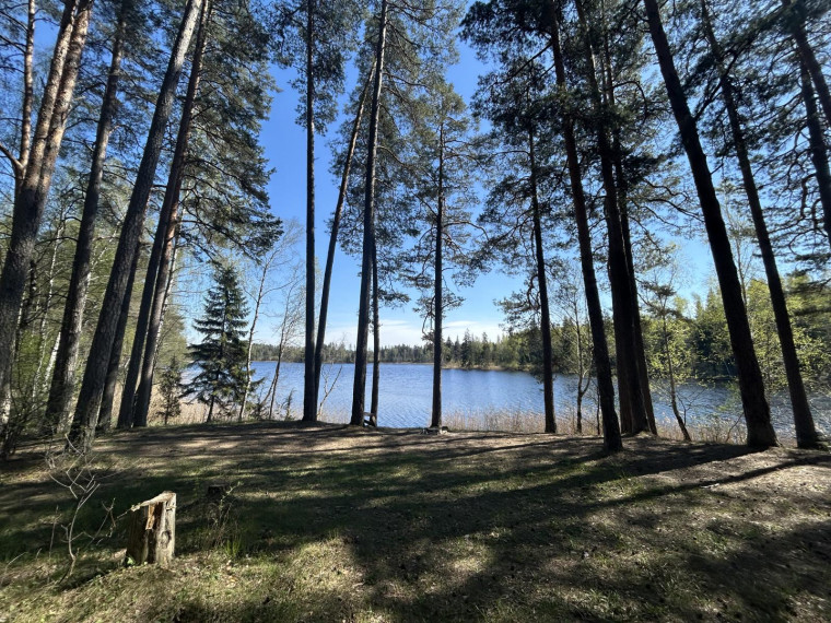 Parduodamas sklypas Paalksnės k., Molėtų r. sav., 350 a ploto 18