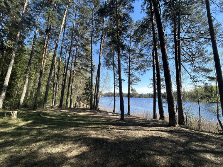Parduodamas sklypas Paalksnės k., Molėtų r. sav., 350 a ploto 19