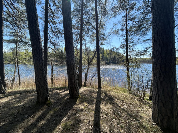 Parduodamas sklypas Paalksnės k., Molėtų r. sav., 350 a ploto 20