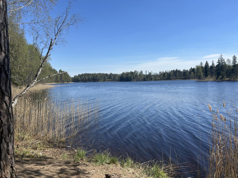 Parduodamas sklypas Paalksnės k., Molėtų r. sav., 350 a ploto 23