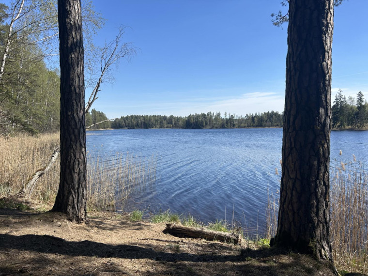 Parduodamas sklypas Paalksnės k., Molėtų r. sav., 350 a ploto 24