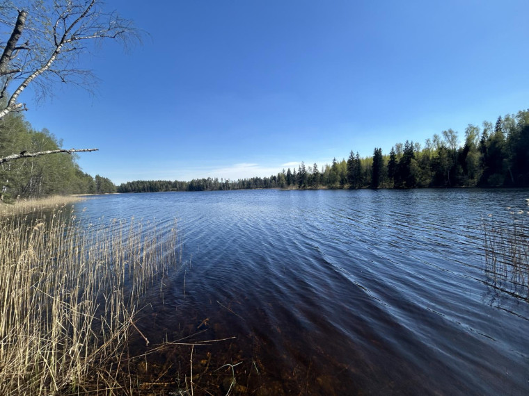 Parduodamas sklypas Paalksnės k., Molėtų r. sav., 350 a ploto 25