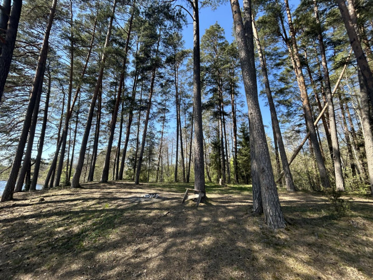 Parduodamas sklypas Paalksnės k., Molėtų r. sav., 350 a ploto 26