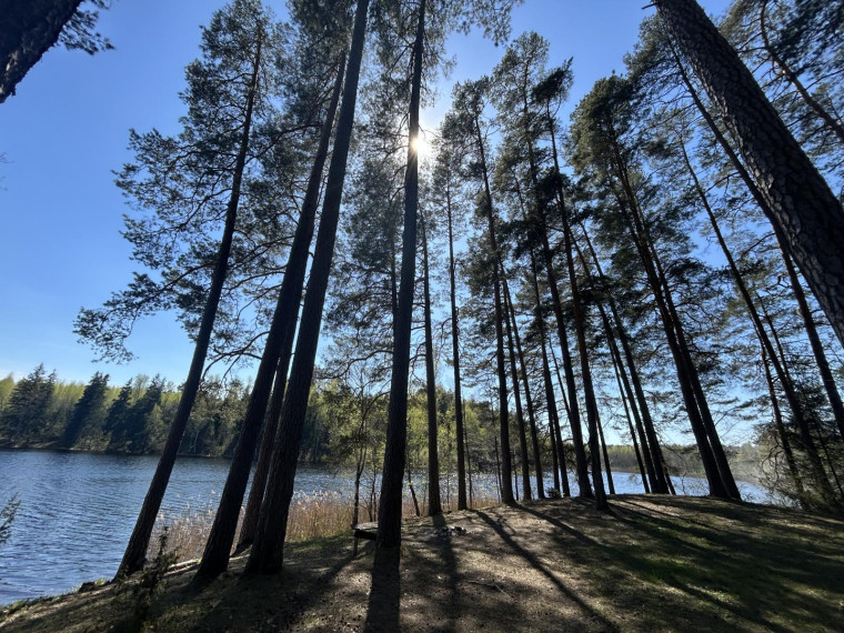 Parduodamas sklypas Paalksnės k., Molėtų r. sav., 350 a ploto 27